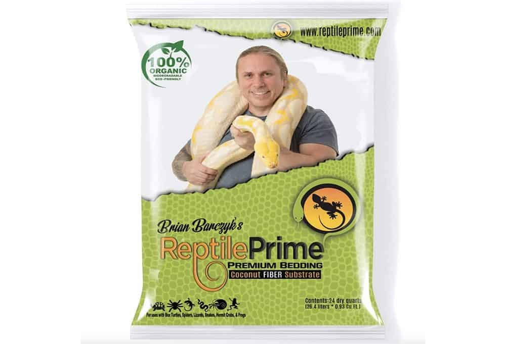 alternative snake bedding