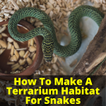 How To Make A Terrarium Habitat For Snakes