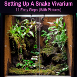 Snake vivarium