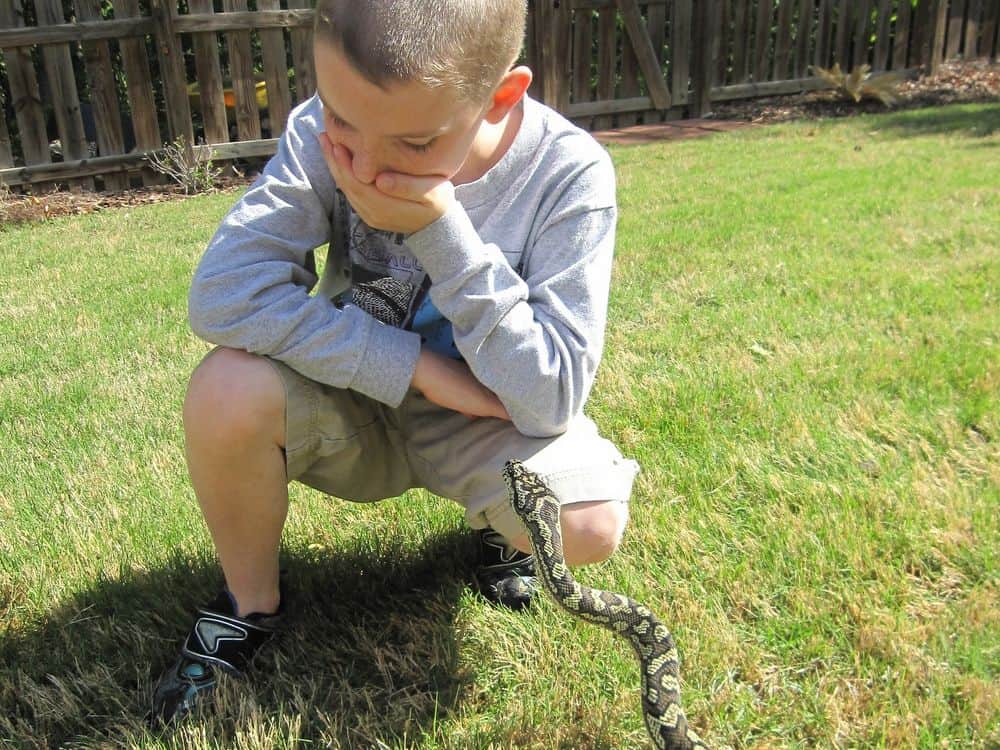 Child with a snake