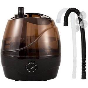 automatic humidifier for reptiles