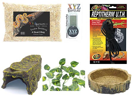 Corn snake starter kit