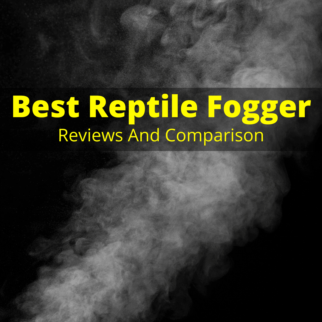 Best Reptile Fogger