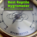 Best Reptile Hygrometer