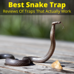 Best Snake Trap