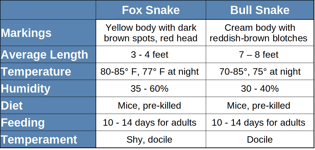 Comparison table of fox snake and bullsnake