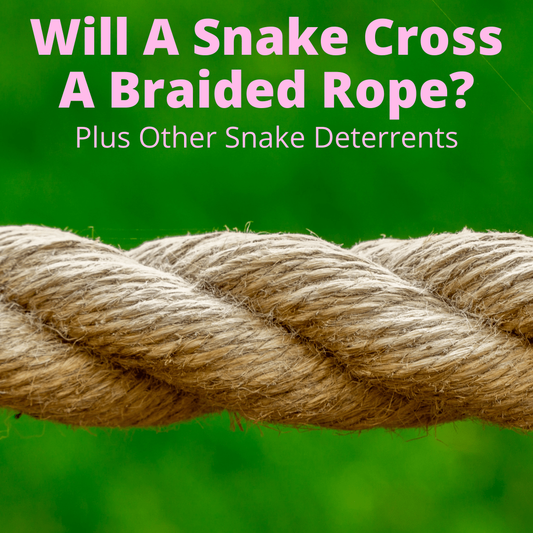 Will A Snake Cross A Braided Rope