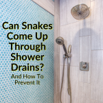 Can Snakes Come Up Through Shower Drains