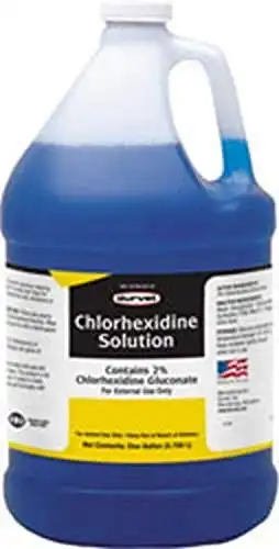 Chlorhexidine 2% Solution (One Gallon)